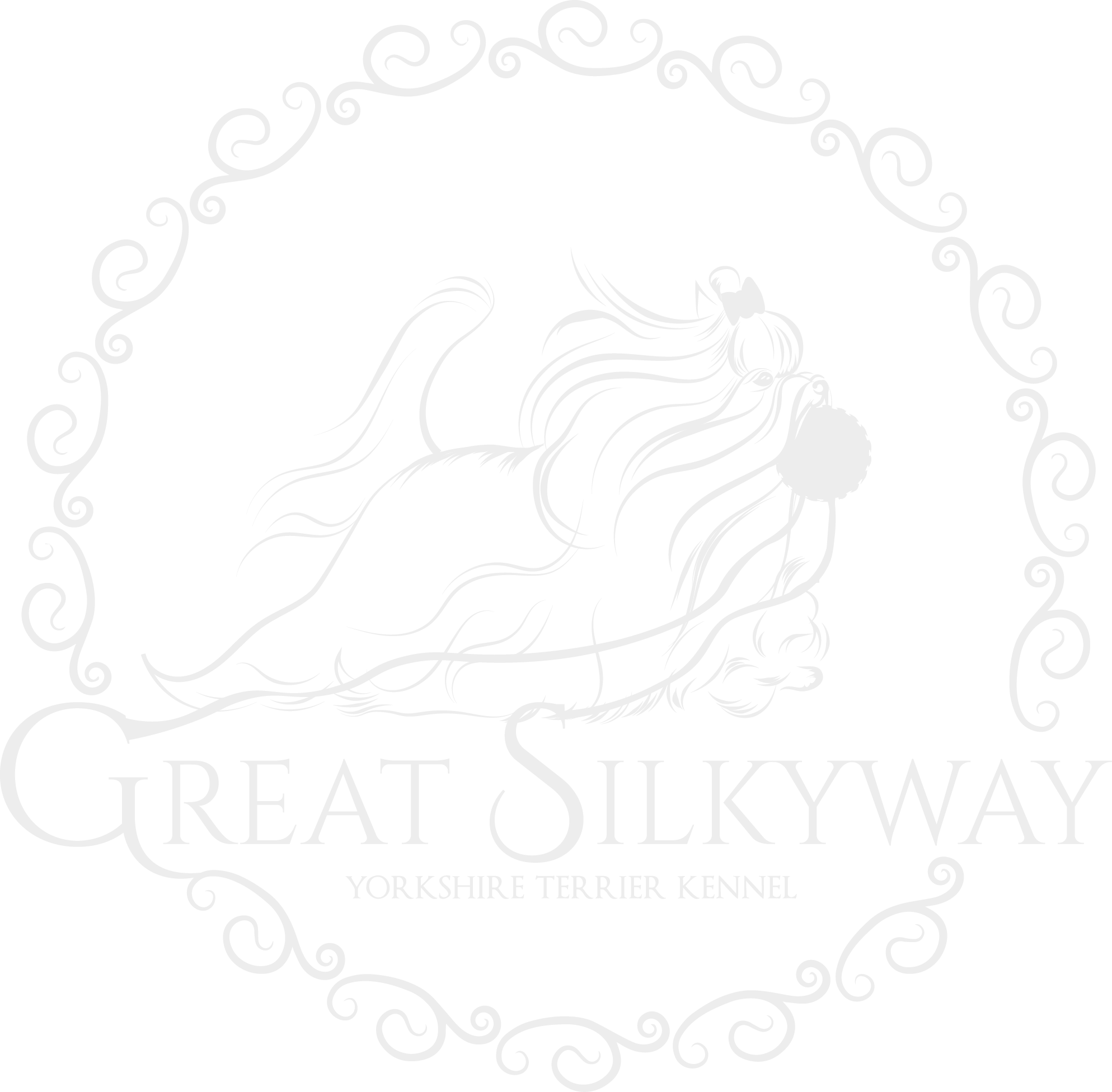Great Silkyway logo